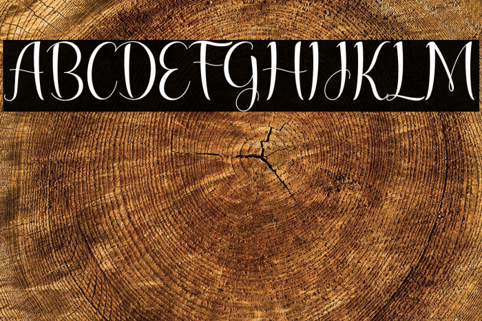 lesley lovely Example 2