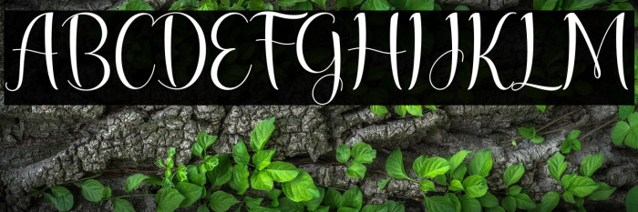 lesley lovely Example 3