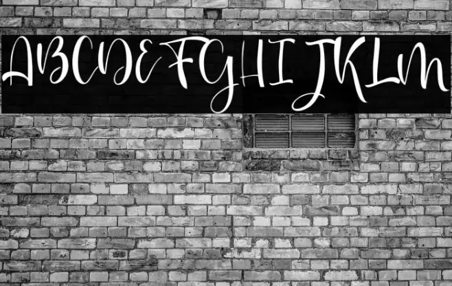 lesley Font examples