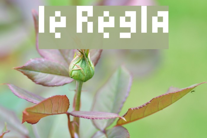 lest Regular Font examples