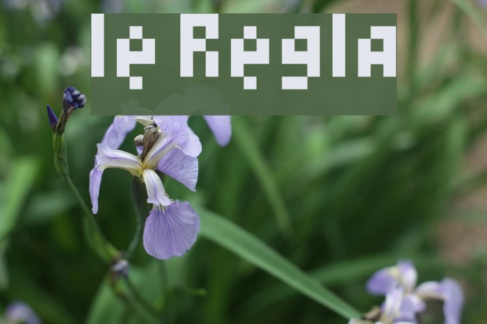 lest Regular Font examples