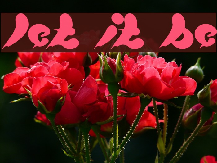 let it be Font examples