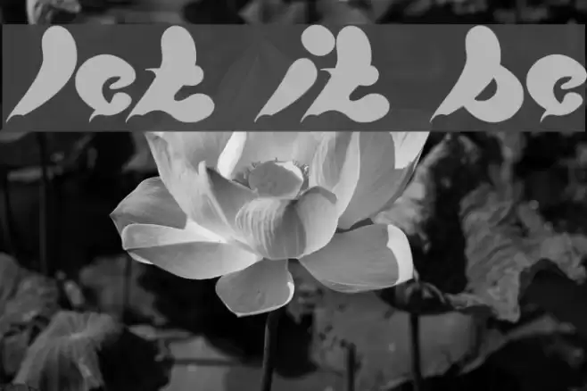 let it be Font examples