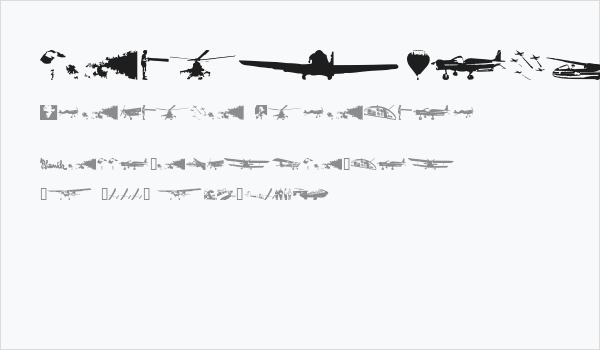 letiskovy flashtrace Business Card