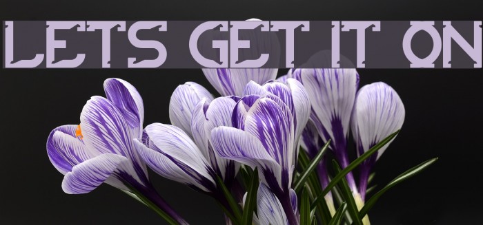 lets get it on Font examples