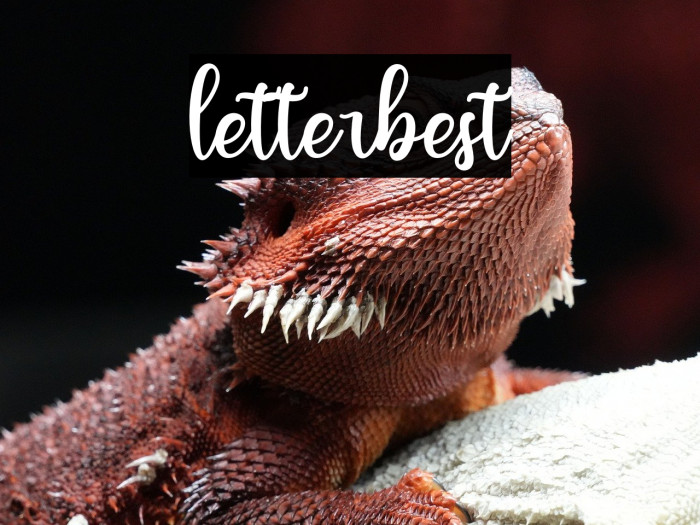 letterbest Example 1