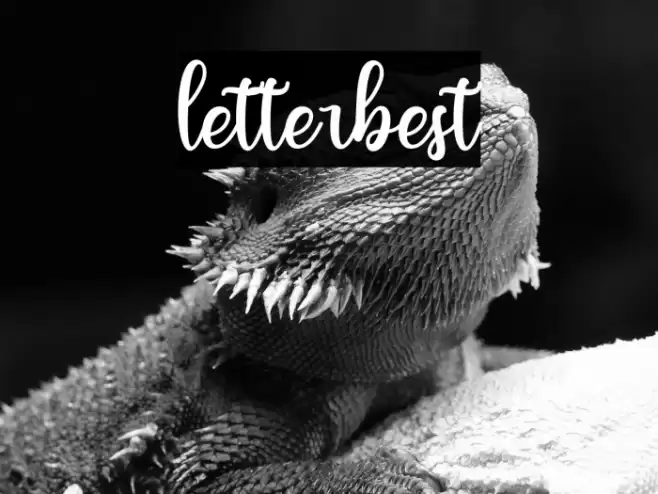 letterbest Font examples