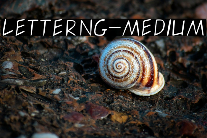 letterng-medium Example 2