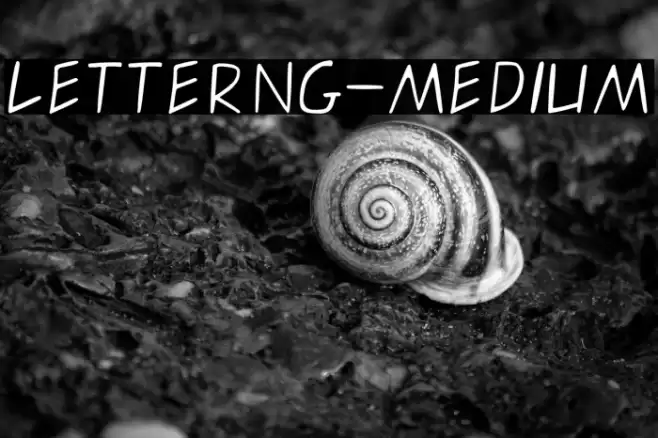 letterng-medium フォント examples