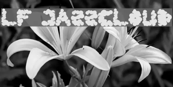LF Jazzcloud Font examples