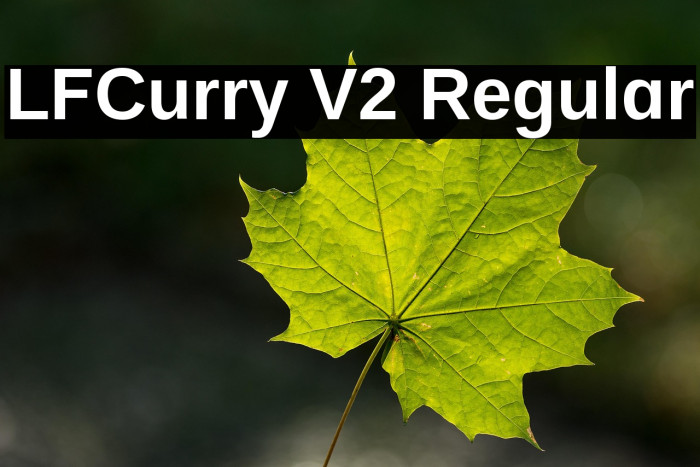 LFCurry V2 Regular Example 1