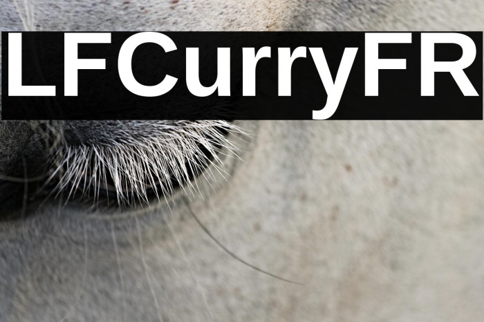 LFCurryFR Example 1