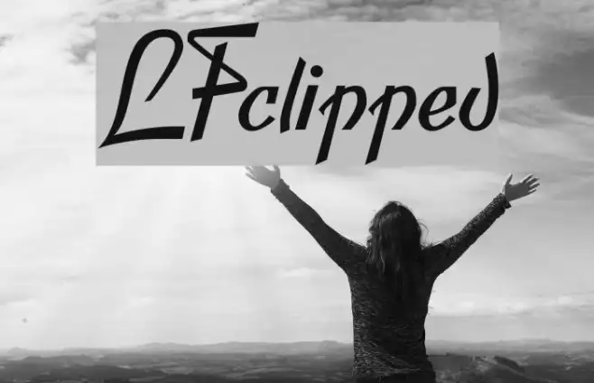 LFclipped Example 3