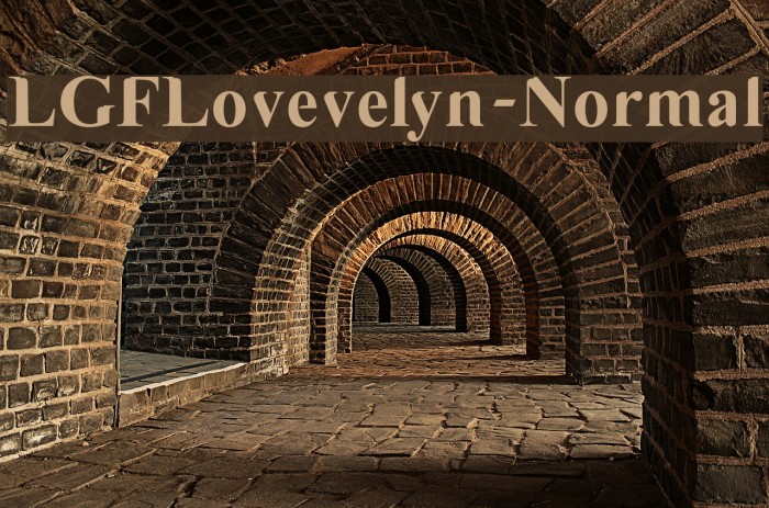 LGFLovevelyn-Normal Font examples