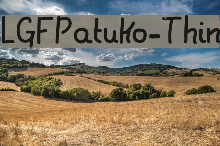 LGFPatuko-Thin Font examples