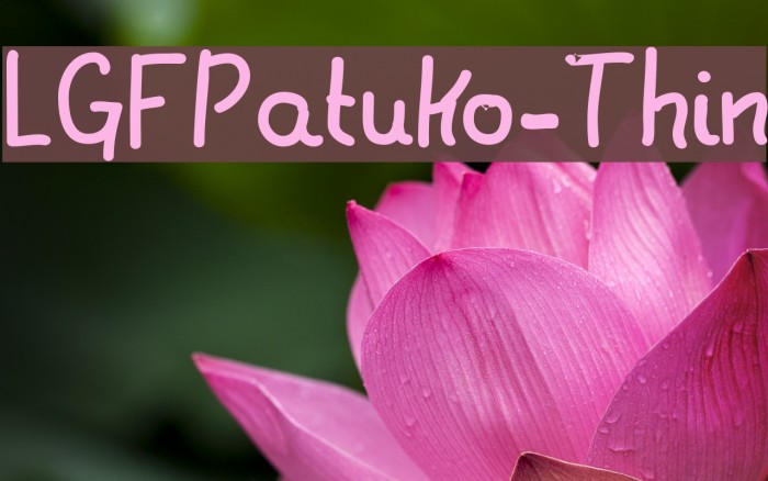 LGFPatuko-Thin Font examples