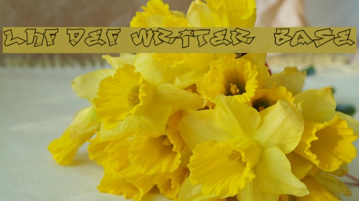 LHF Def Writer | BASE Example 1