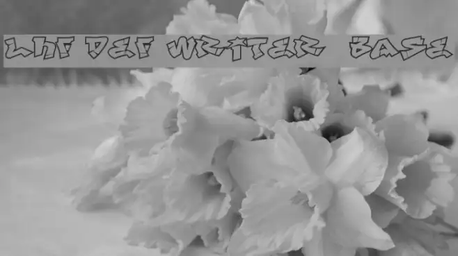 LHF Def Writer | BASE Example 1