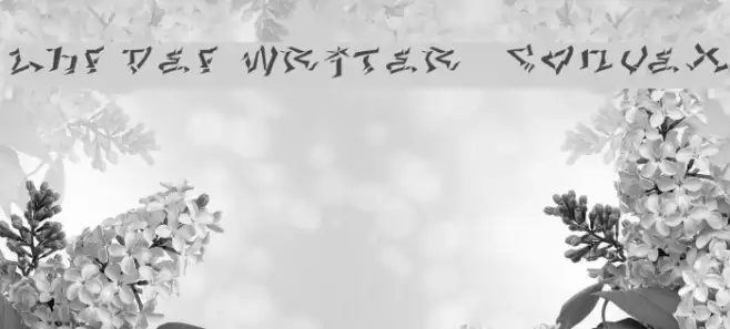LHF Def Writer | CONVEX Example 1