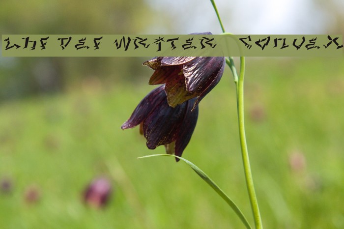 LHF Def Writer | CONVEX Example 3