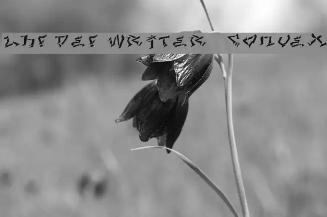 LHF Def Writer | CONVEX Example 3