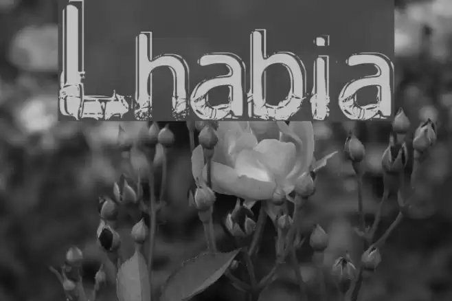 Lhabia Font examples