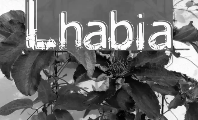 Lhabia Font examples