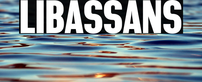 LIBAS SANS Example 1