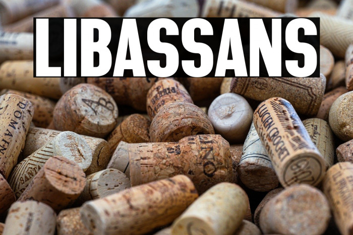 LIBAS SANS Example 2