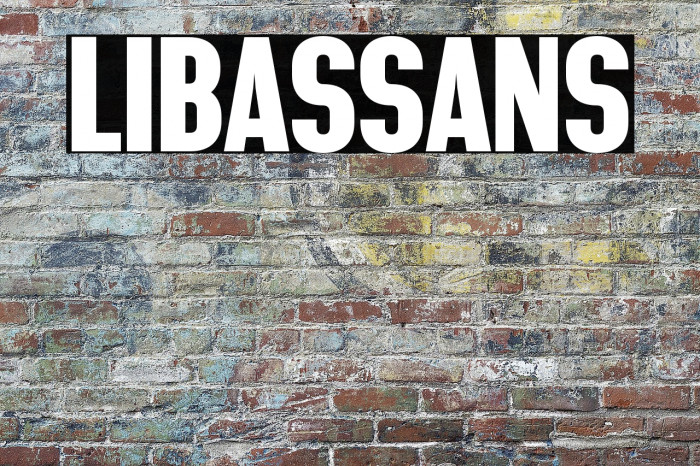 LIBAS SANS Example 3