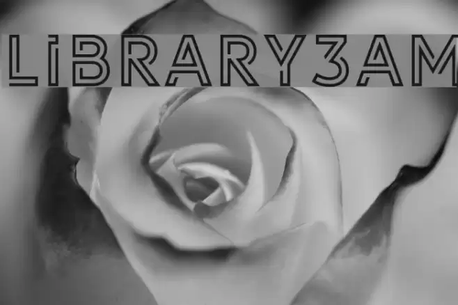 LIBRARY3AM Fonte examples