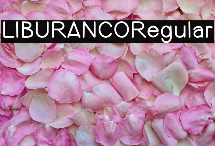 LIBURANCORegular Example 1