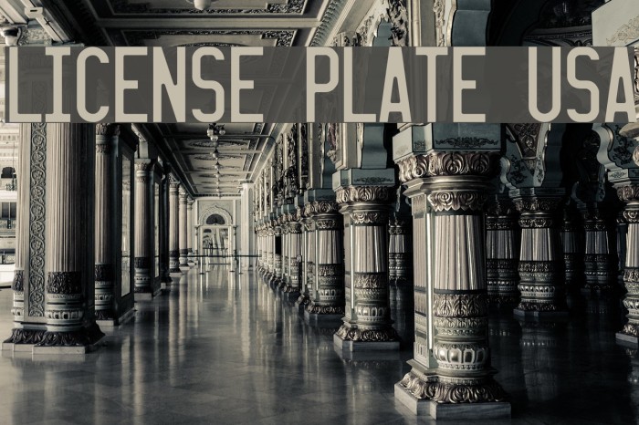 LICENSE PLATE USA Example 1