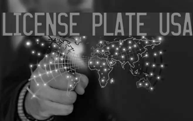 LICENSE PLATE USA Example 2