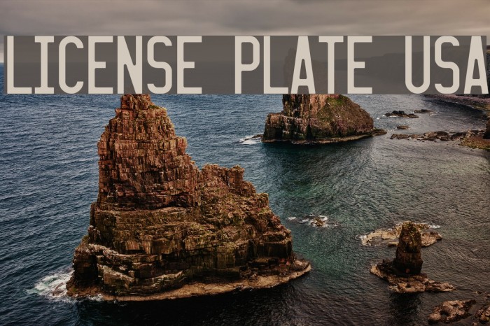 LICENSE PLATE USA Example 3