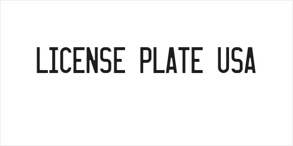 LICENSE PLATE USA Logo