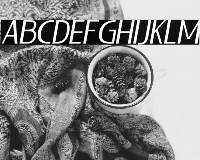 LIEUR-Italic Font examples