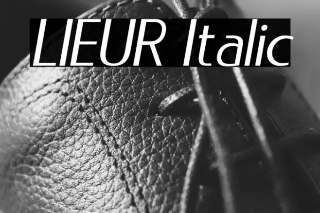 LIEUR Italic Font examples