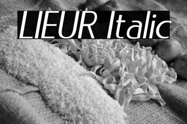 LIEUR Italic Font examples