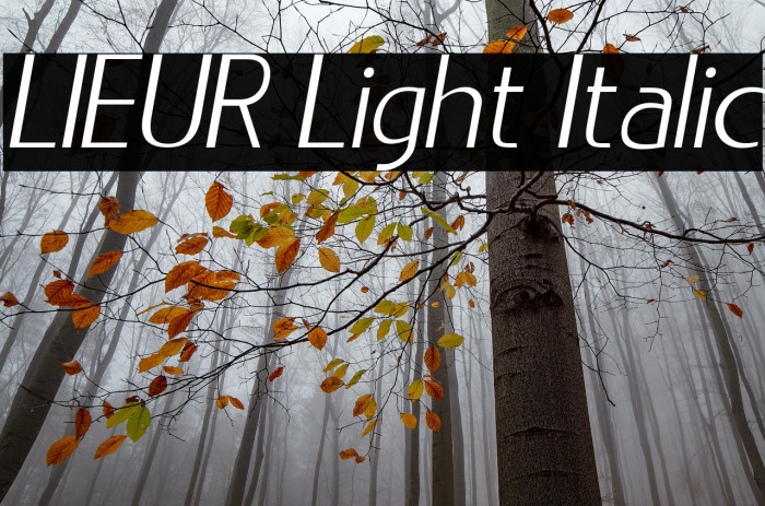 LIEUR Light Italic Example 1