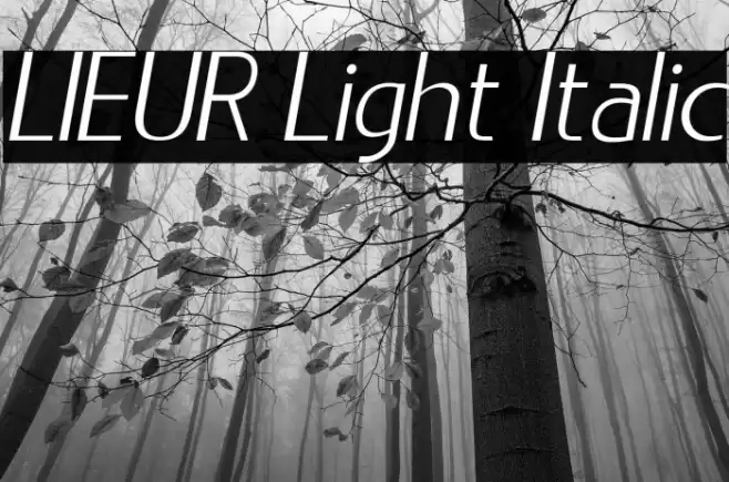LIEUR Light Italic Font examples