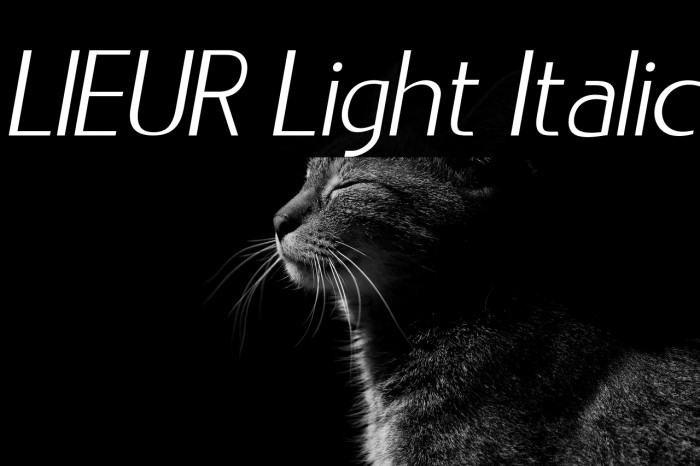 LIEUR Light Italic Example 3