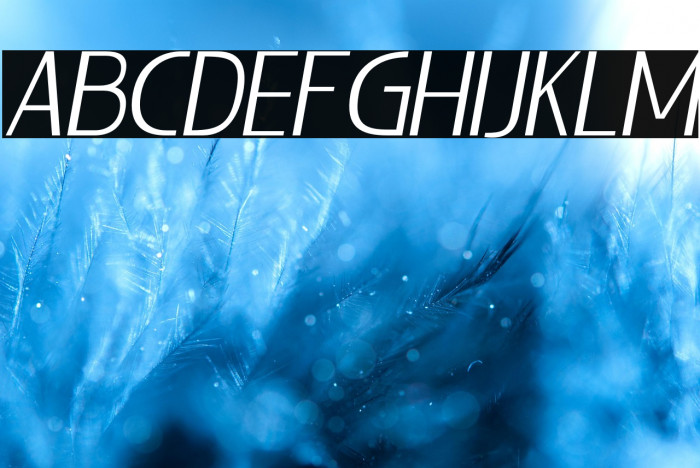 LIEUR-LightItalic Example 2