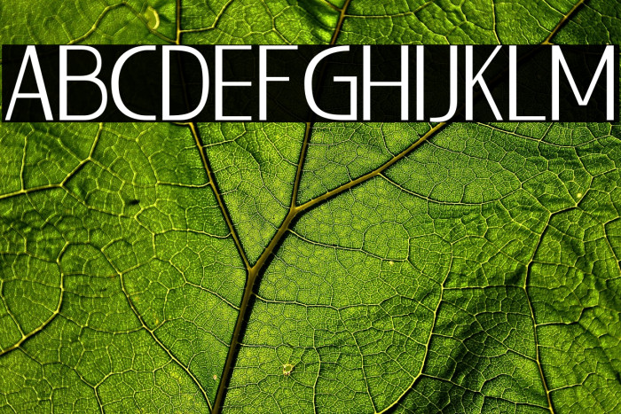 LIEUR-Light Example 2