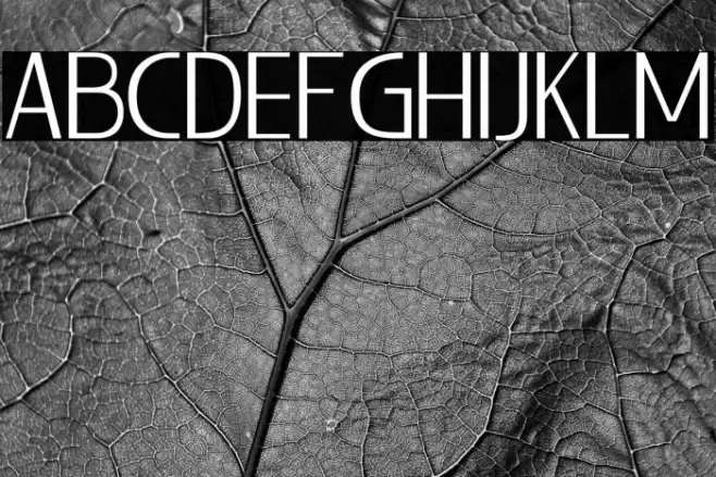 LIEUR-Light Font examples