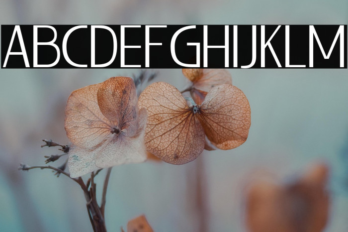 LIEUR-Light Example 3