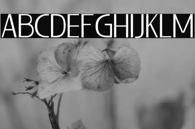 LIEUR-Light Font examples