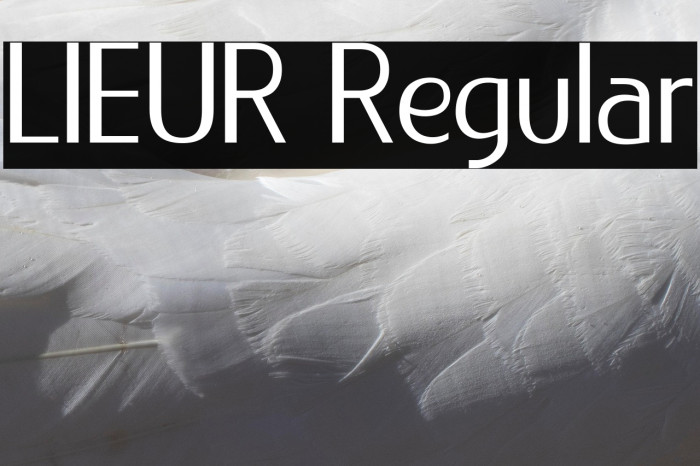 LIEUR Regular Example 1