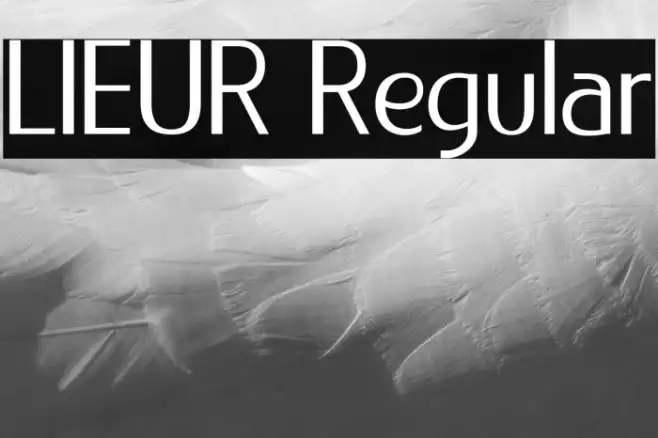 LIEUR Regular Example 1