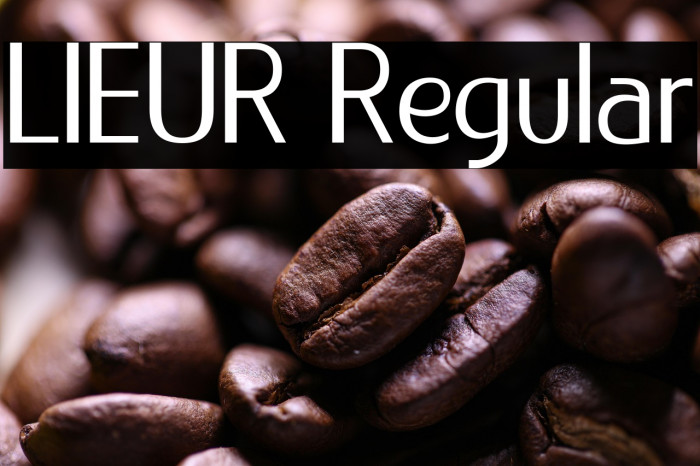 LIEUR Regular Example 2